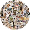 100 Pcs Cute Cat Stickers,Funny Cat Meme Vinyl Stickers for