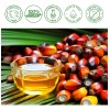 Aceite Natural Puro Para El Crecimiento Y Reparación Del Cab