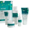 skin care set-Tea Tree Five-piece Facial Care Set