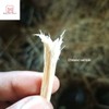 MBARIKET African Miswak Toothbrush Hard Chewing Sticks, 6 Pack, Natural