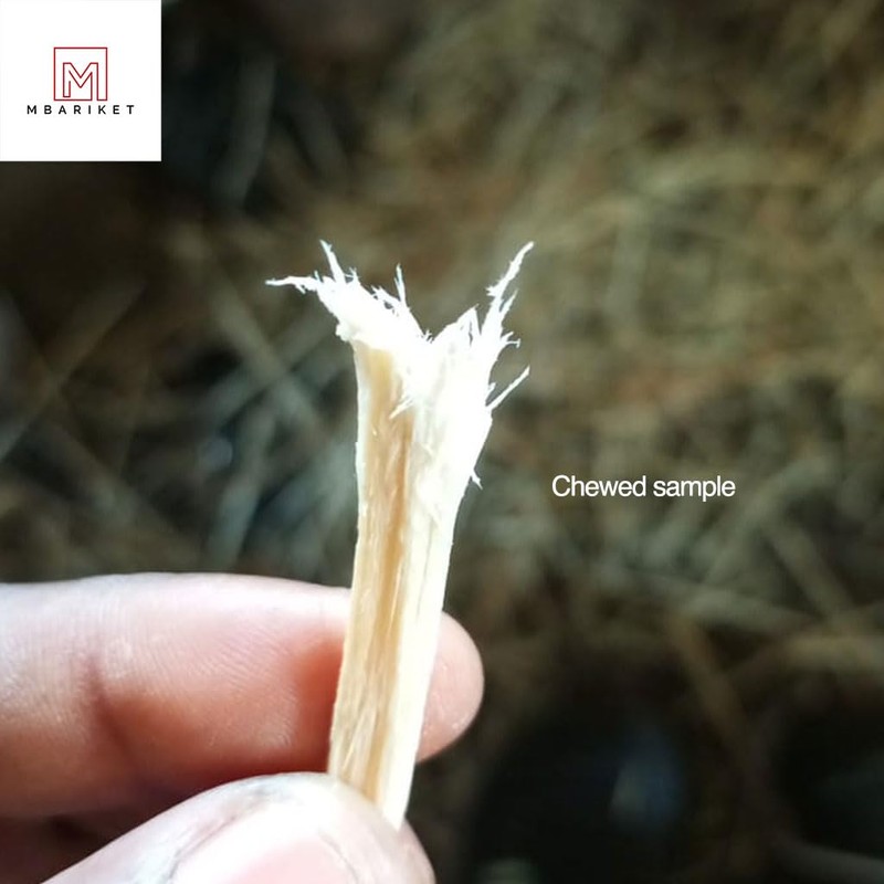 MBARIKET African Miswak Toothbrush Hard Chewing Sticks, 6 Pack, Natural