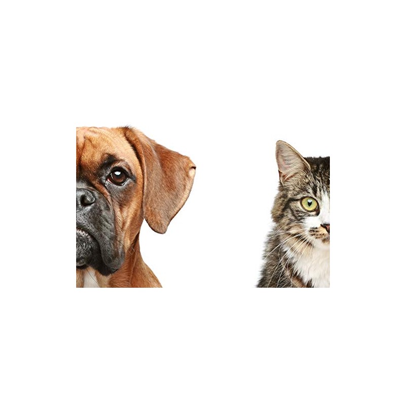 PET SUPPLEMENTS cat Immune System Support - PET Immune Support