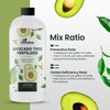 16oz Fruit Tree Fertilizer for Avocados - Makes 32 Gallons