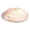 Pearl Shell Purifying Dish, Sold as 1 Pan, Trinket Box,