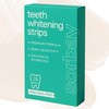 Premium Non Hydrogen Peroxide Teeth Whitening Strips | 28 Enamel