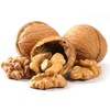Walnuts In-shell (Whole) (5 LB)
