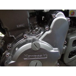 Desmoparts Kawasaki KLR650 Engine Cover Stainless Screw Kit with 41 stainless fasteners