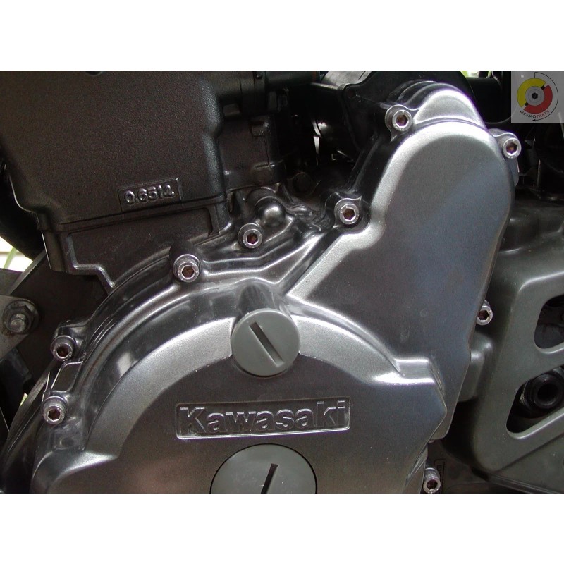 Desmoparts Kawasaki KLR650 Engine Cover Stainless Screw Kit with 41