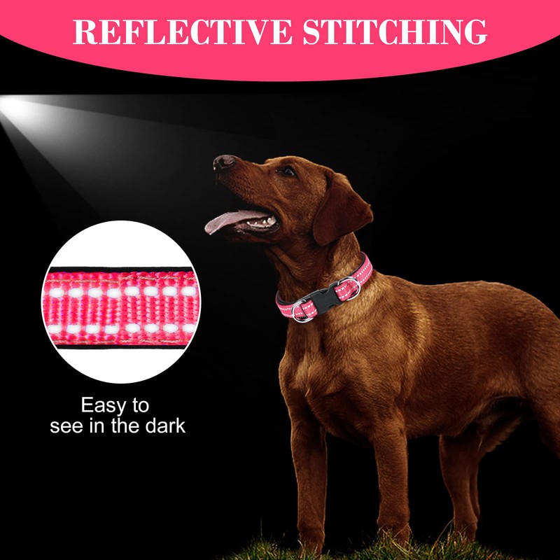 AUAUY Reflective Nylon Dog Collars, Double Security Adjustable Classic Pet