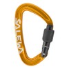 Salewa Ortles Screw Carabiner Orange