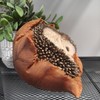 Vivid Arts - Young hedgehog in leaf - XRL-HH09-D