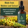 Xinyig Mullein Extract Powerful Lung Cleanse,Mullein Leaf Drops,Mullein Drops for