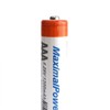 MaximalPower AAA Rechargeable Batteries 1200mAh High Capacity Performance & Long