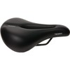 Terry Men's Anatomica Bicycle Saddle, Black, One Size