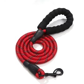 Generic 5 FT Dog Leash with Comfortable Padded Handle and Highly Reflective Threads for Small Medium and Large Dogs (5FT-1/2'') (Red)