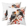 Doobicy Christmas Robin Bird Pillow Covers 18x18 Set of 2