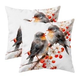 Doobicy Christmas Robin Bird Pillow Covers 18x18 Set of 2