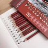 Juego de 12 Lápices de Grafito para Dibujo Artístico Profesional,