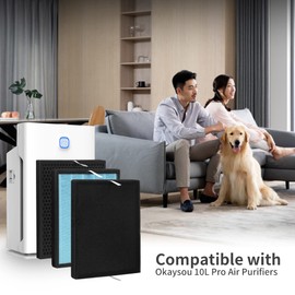 FCFMY 2 Packs Replacement Filter Set Compatible with Okaysou Airmax 10L Pro and Aiibot-A300 Air Cleaner Purifier, 5-Stage Filter System of Activited Carbon Pre Filter HEPA filter