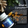 CURCUMIN with PIPERINE for Increased Absorption – 1200mg – Vegan