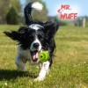 Comedero Pelota Para Perro Mr Wuff Juguete Rellenable Caucho Natural
