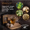 Busy Botanist Herbal Tea - Variety Pack - Caffeine Free,
