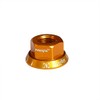 Pirhosigma Golden 2 x M10 Bike Wheel Hub Axle Nuts