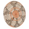 Grass Woven Placemats Nordic Style Innovative Round Placemats for Dining