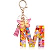 OSDUE Fashion Alphabet Initial Letter Keychain, Women Tassel Butterfly Pink