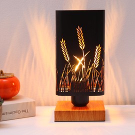 Table Lamp with Dimmer, Fully Dimmable Rotary Switch, Black Metal Shadow Table Lamp, Cool Night Light for Kids, Bedroom Nightstands Lamp, Lamp for Living Room End Tables LED Bulb Included