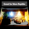 Mechpia 47" x 24" Large Reptile Carpet Terrarium Liner Bedding