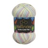 Wollbiene Socks Colour Sock Wool, 100 g, 4-Ply Knitting and