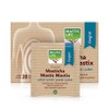 Mastix Comfort (28 Bags) Masticlife