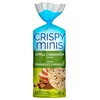 Quaker Crispy Minis Apple Cinnamon Large Brown Rice Cakes, 196g