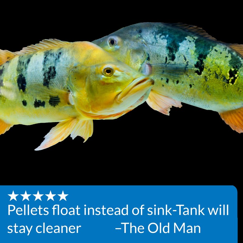 API Tropical PELLETS Sinking Pellets Fish Food