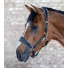 Waldhausen Elegant Halter, black