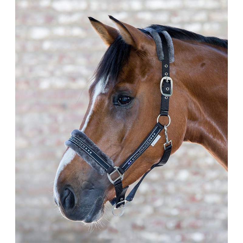 Waldhausen Elegant Halter, black
