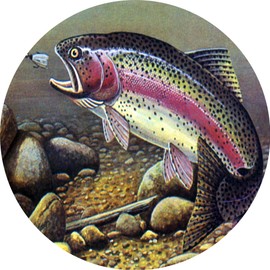 Tire Cover Central Rainbow Trout Fishing Wheel Spare tire Cover (Custom Made to Your tire Size-See menu)