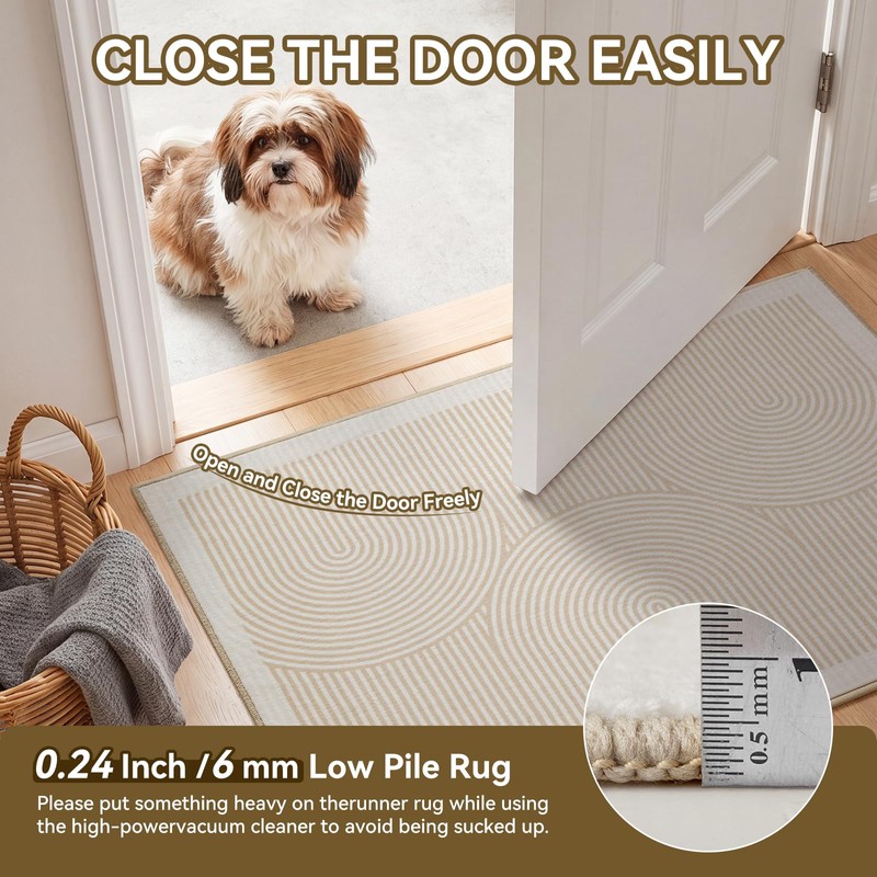 YDKGL 2x3 ft Washable Entryway Rug，Non Slip Backed Small Area