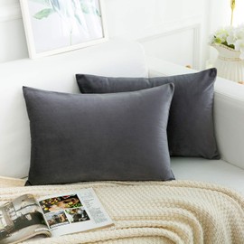 RainRoad Velvet Decorative Throw Pillow Covers Cushion Cover Pillow Case for Sofa Couch Bed Chair Soft Square Gray Throw Pillows 12x20 Inch,Set of 2