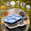 Vesici 8 Pcs Large 12 Inch Unbreakable Divided Plates for