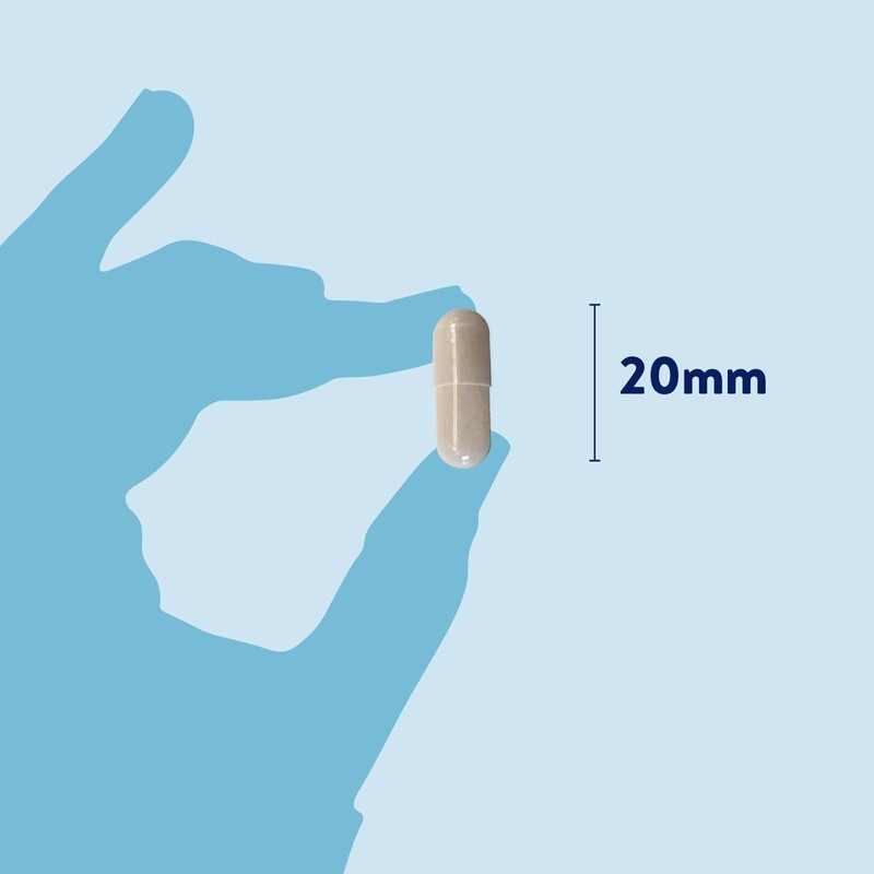 Dorwest Herbs Probiotic Plus for Dogs 100 Capsules, Pre, Pro