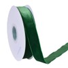Ribest Green Velvet Ribbon 1 Inch Continuous 10 Yards Christmas