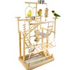 LIMIO Bird Playground - Natural Wood Parrot Playstand with Perches,