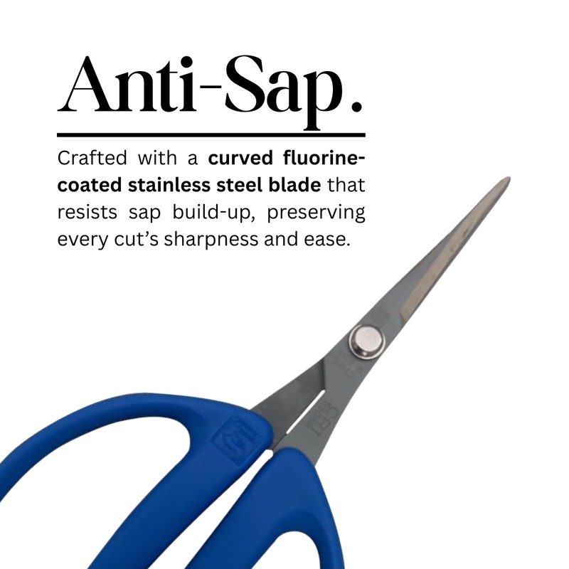 CHIKAMASA CRI-550SRF(Blue), The Specialty Trimming Precise Scissors, Stainless Steel with