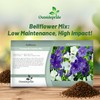Outsidepride Carpatica Mix Bellflower Seeds for Planting - 5000 Pcs