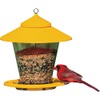 Audubon NA6231 4 Lb Capacity Hopper Granary Bird Feeder Assorted