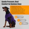 Spajoy Dog Anxiety Vest, Soft Thunder Jacket for Fireworks, Vet