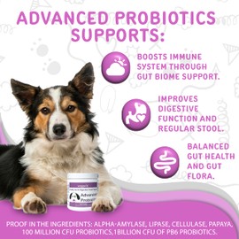 waggedy Daily Essentials Adult Soft Chews — Dog Multivitamin & Immune System Supporter — Dog Nutritional Supplement — Small/Large Dog Supplements & Vitamins (60 Chews)