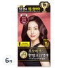 Partner_Reference 리엔 흑모비책 새치염색 크림 와인갈색 6개